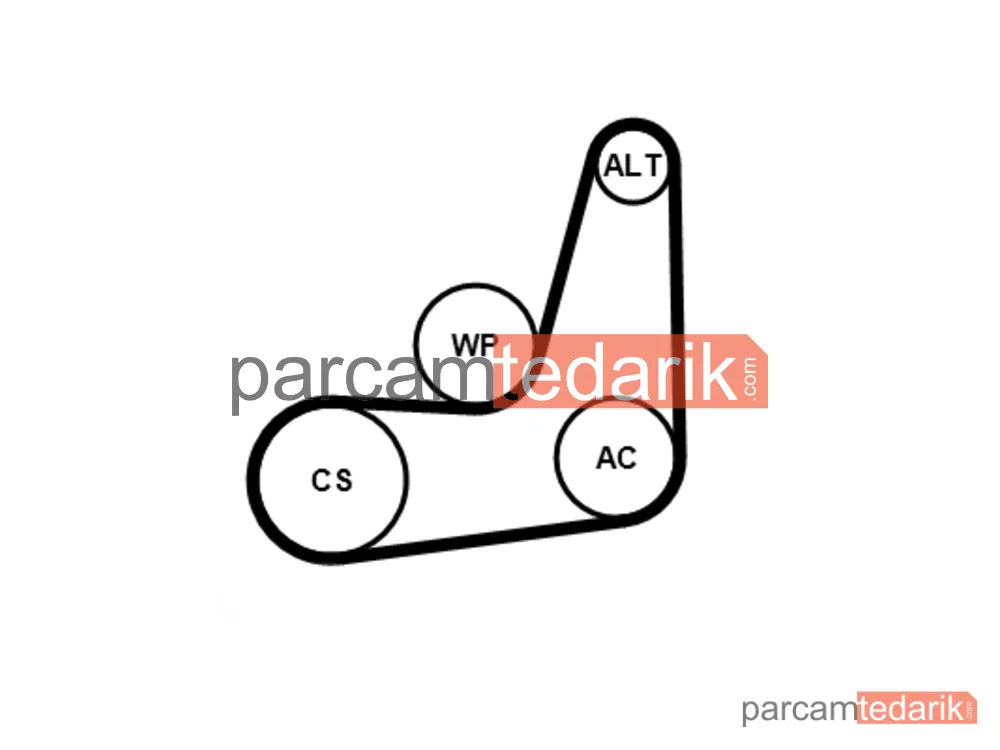 CONTITECH 6PK1019ELASTK1 | V Kanallı Kayış Seti — Ford C-Max II, Ford Focus III, Ford Fiesta VI